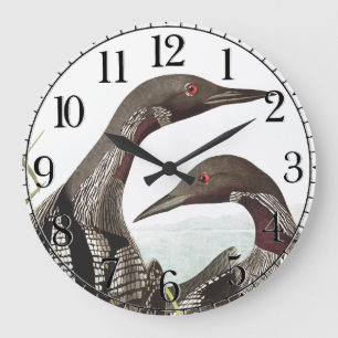 Horloge murale d'animal d'oiseaux de plongeur de