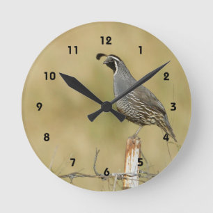 Horloge murale de cailles