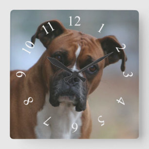Horloge murale de carré de portrait de chien de
