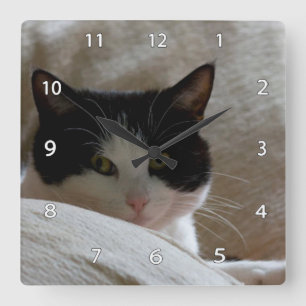 Horloge murale de chat