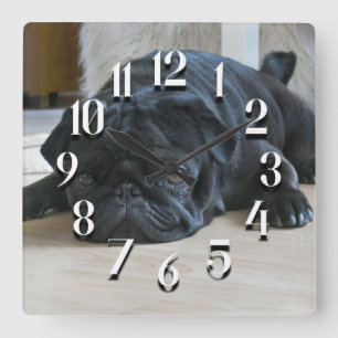 Horloge murale de chiot carlin noir mignon