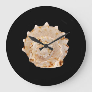 Horloge murale de la coque de conique