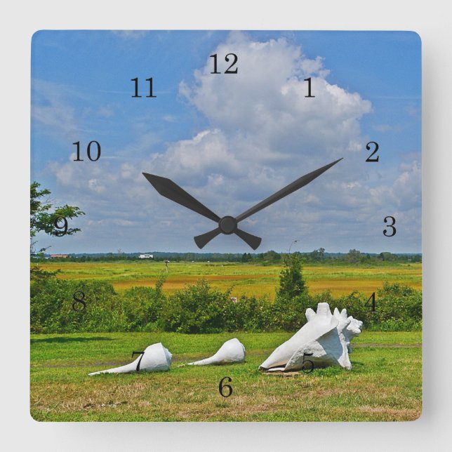 Horloge murale de la coque de mer (Recto)