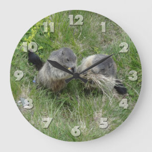 Horloge murale de marmottes