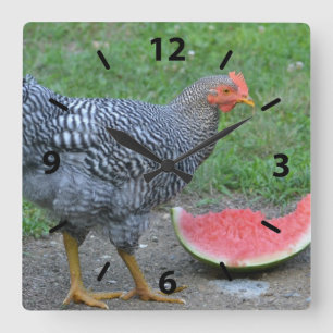 Horloge murale de pastèque de poulet