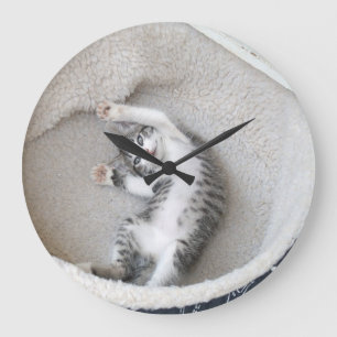 Horloge murale de petit somme de chat
