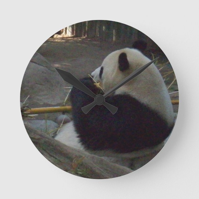 Horloge murale d'ours panda (Recto)