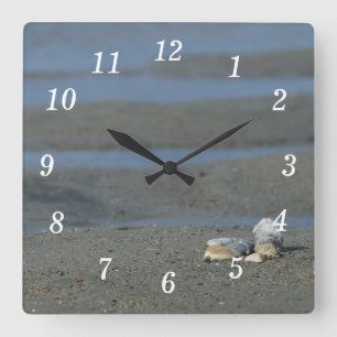 Horloge murale du coquillage