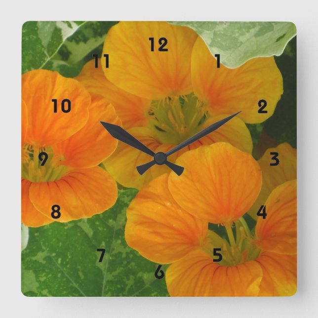 Horloge murale du nasturtium (Recto)