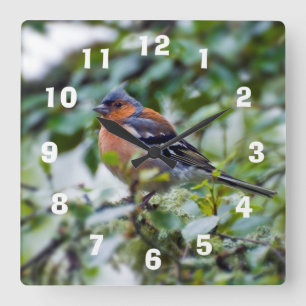Horloge murale en acrylique Chaffinch