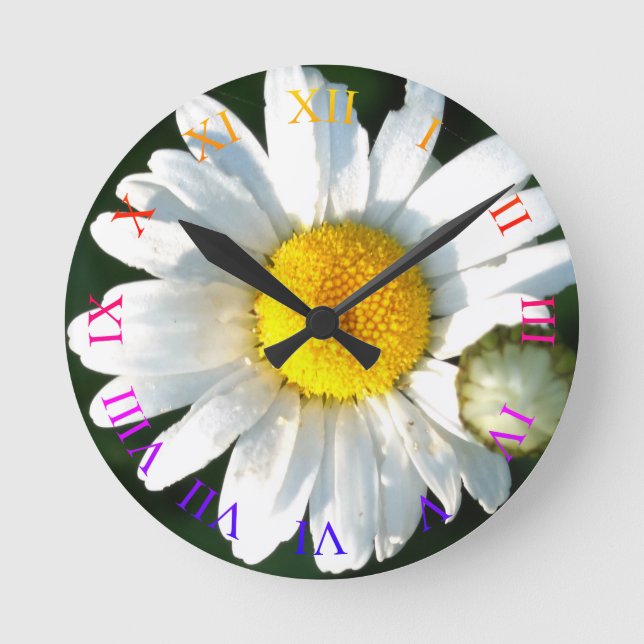 Horloge murale en fleur de marais (Recto)