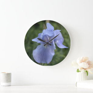 Horloge murale florale d'iris assez bleu