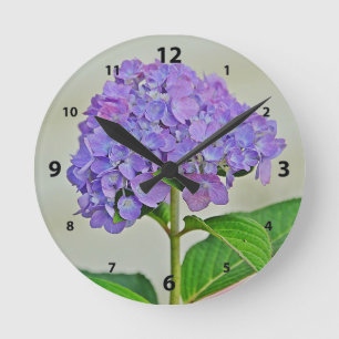 Horloge murale Hydrangea