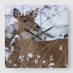 Horloge murale moelleuse