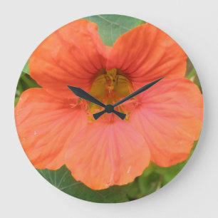 Horloge murale Orange Nasturtium