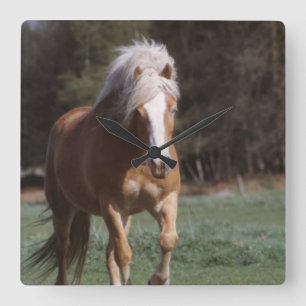 Horloge murale Palomino Galloping