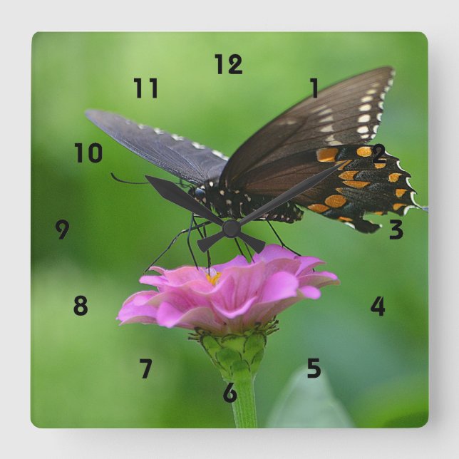 Horloge murale papillon (Recto)