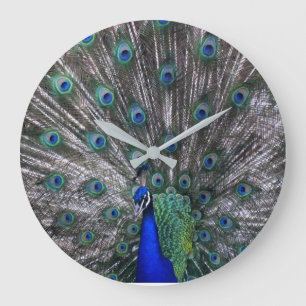 Horloge murale Peacock