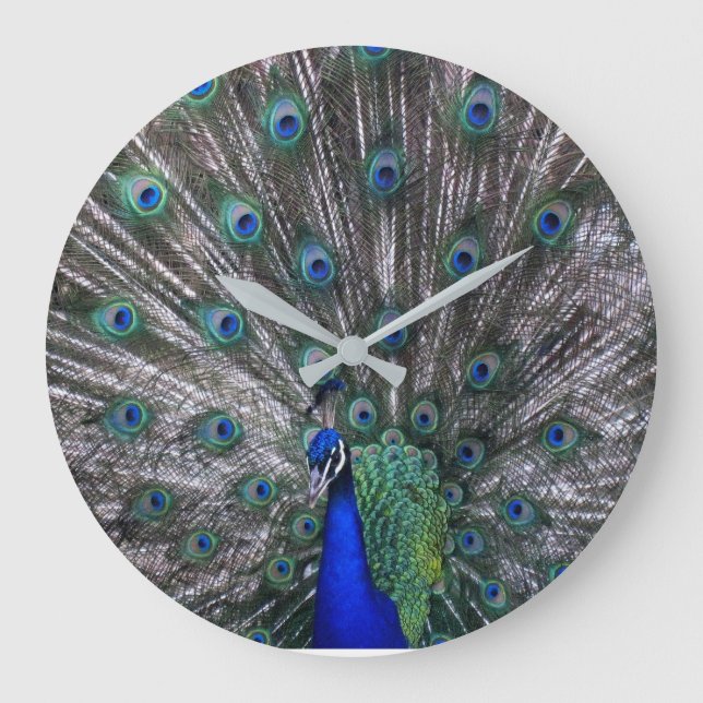 Horloge murale Peacock (Recto)