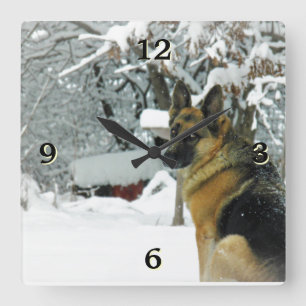 Horloge murale photo berger allemand