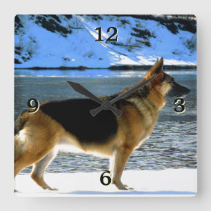 Horloge murale photo berger allemand