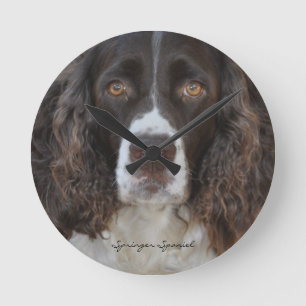 Horloge murale ronde de springer spaniel