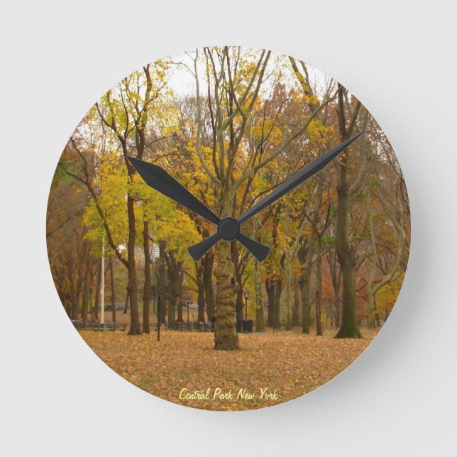 Horloge New York Central Park NY Wall Horloge (Recto)