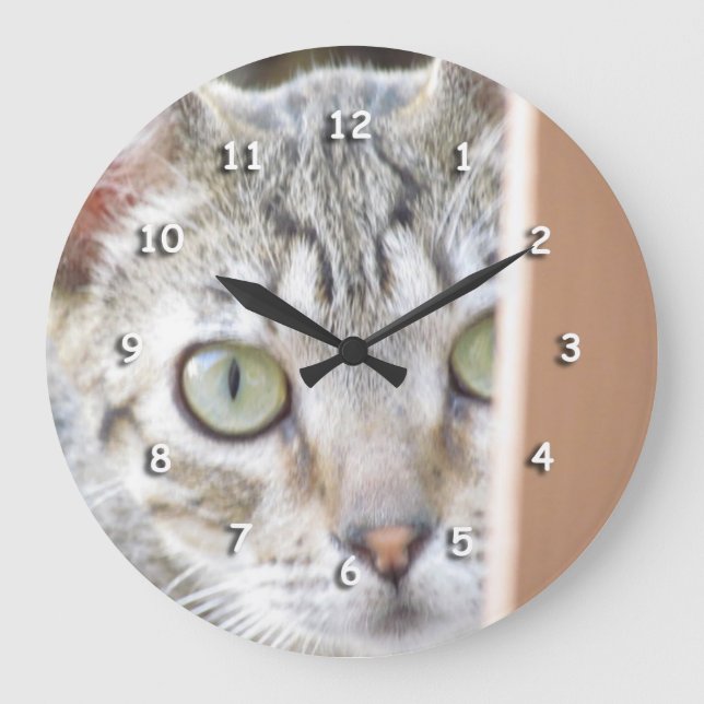 Horloge - Observation de chaton (Recto)