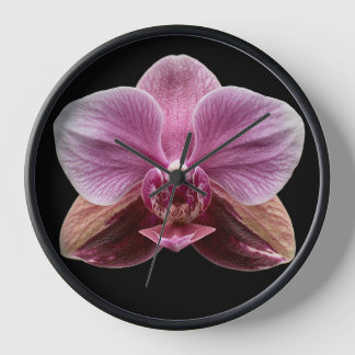 Horloge Orchidée sur fond noir
