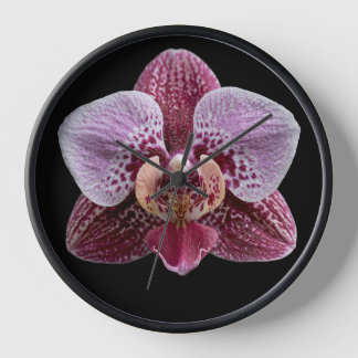 Horloge Orchidée sur fond noir
