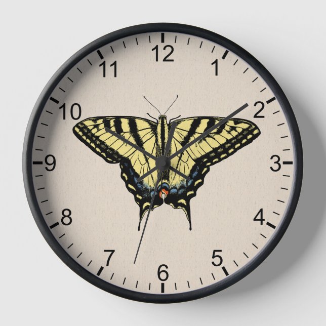 Horloge Papillon à queue jaune sud-ouest encadré (Recto)