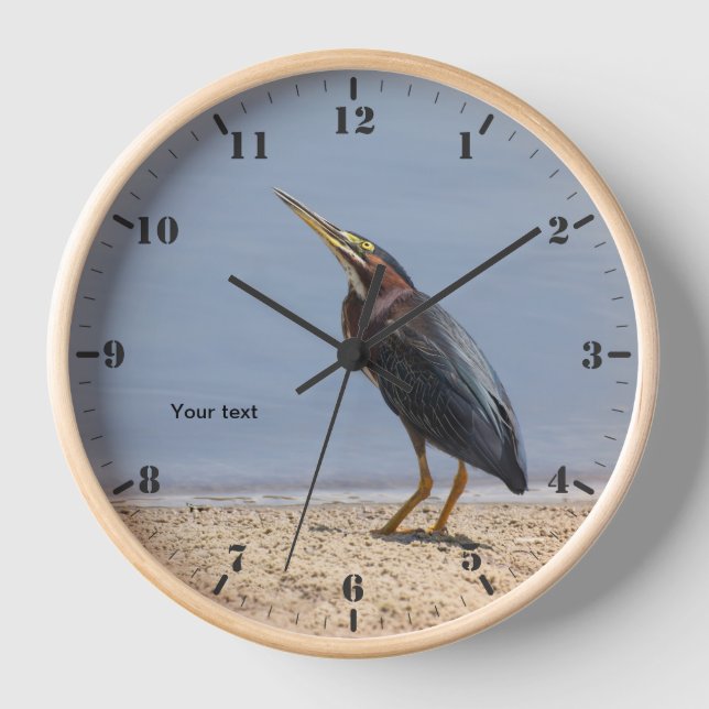 Horloge Personnaliser le héron vert au lac (Recto)