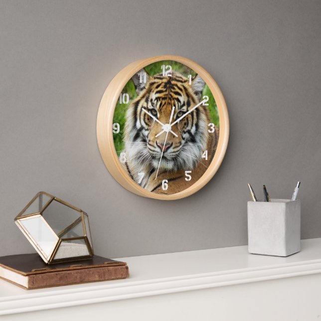 Horloge Photo Big Cat Sumatran Tiger (Bureau)