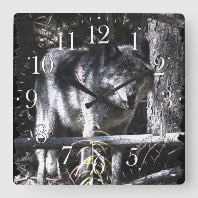Horloge photo Gray Wolf & Forest (Recto)