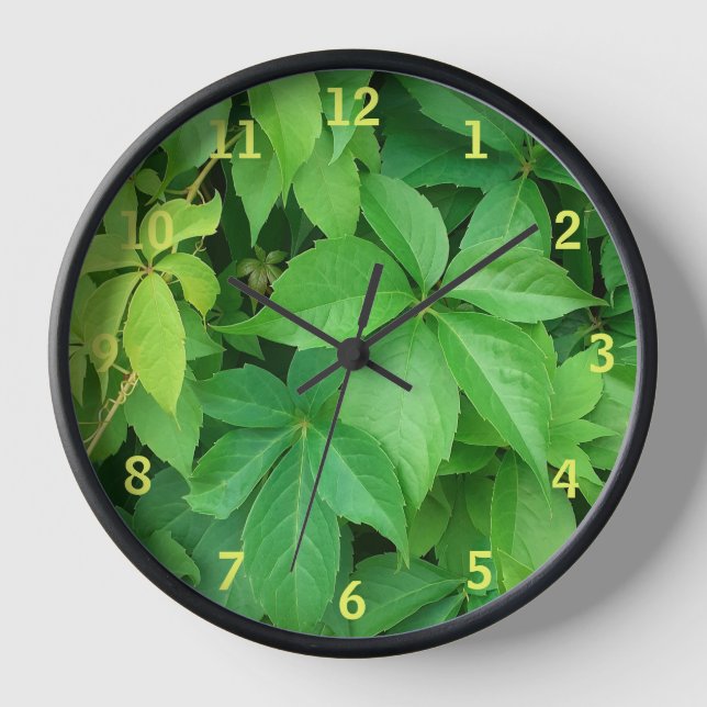 Horloge Photo Green Virginia Creeper Foliing (Recto)