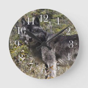 Horloge photo Loup gris foncé et pâturage forestie