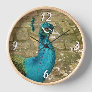 Horloge Photographie de nature oiseau bleu beau paon