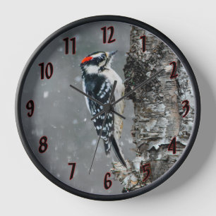 Horloge Pic Downy en neige - Photo originale