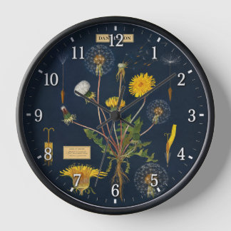 Horloge Pissenlits - Botanique
