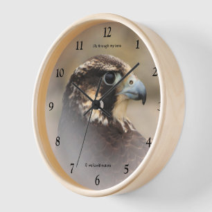 Horloge Profil d'un faucon pèlerin