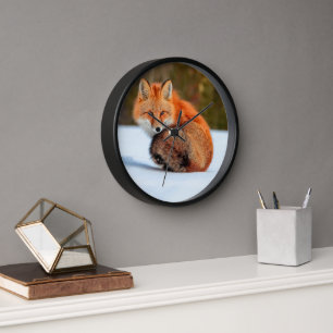 Horloge Renard Rouge En Neige   Yukon