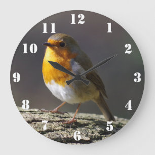 Horloge Robin