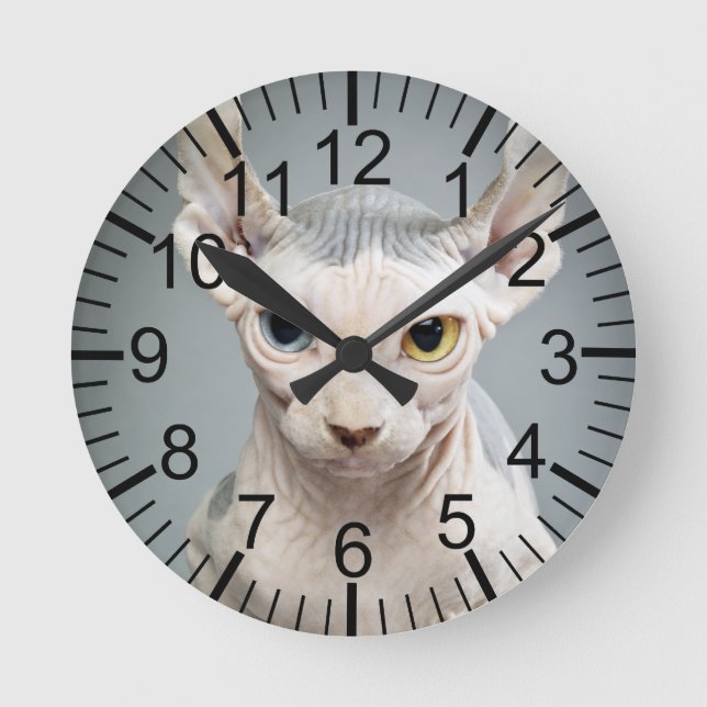 Horloge Ronde 11 Sphinx Cat (Recto)