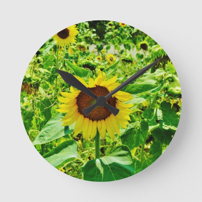 Horloge Ronde Abeille sur tournesol jaune (Recto)