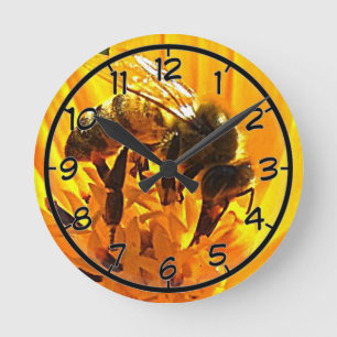 Horloge Ronde Abeille sur une fleur