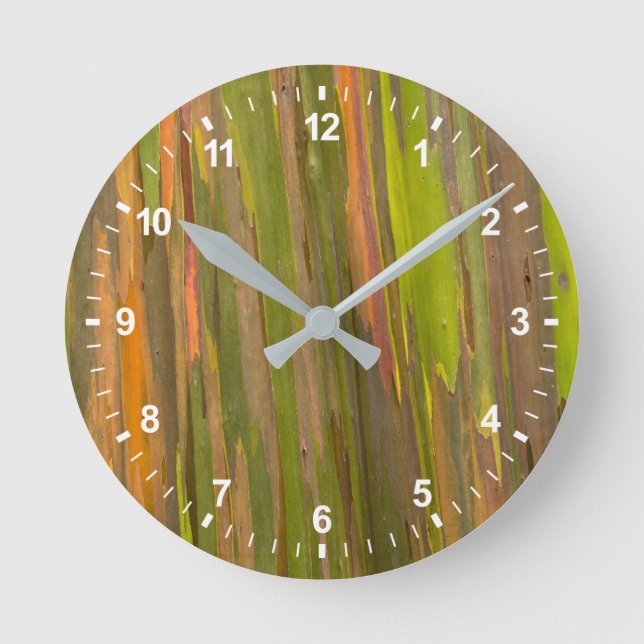Horloge Ronde Abstract d'Eucalyptus (Recto)
