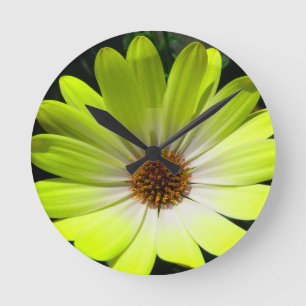 Horloge Ronde African Daisy Fluorescent Yellow Wall Clock
