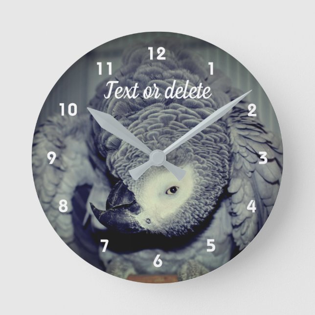 Horloge Ronde African Grey Parrot Cute Bird 2 Personnalisé (Recto)