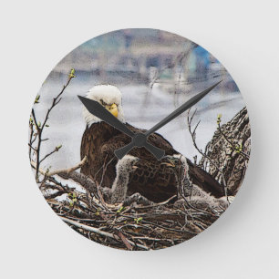 Horloge Ronde Aigle de Bald avec aigle