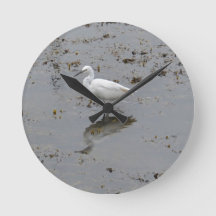 Aigrette neigeuse